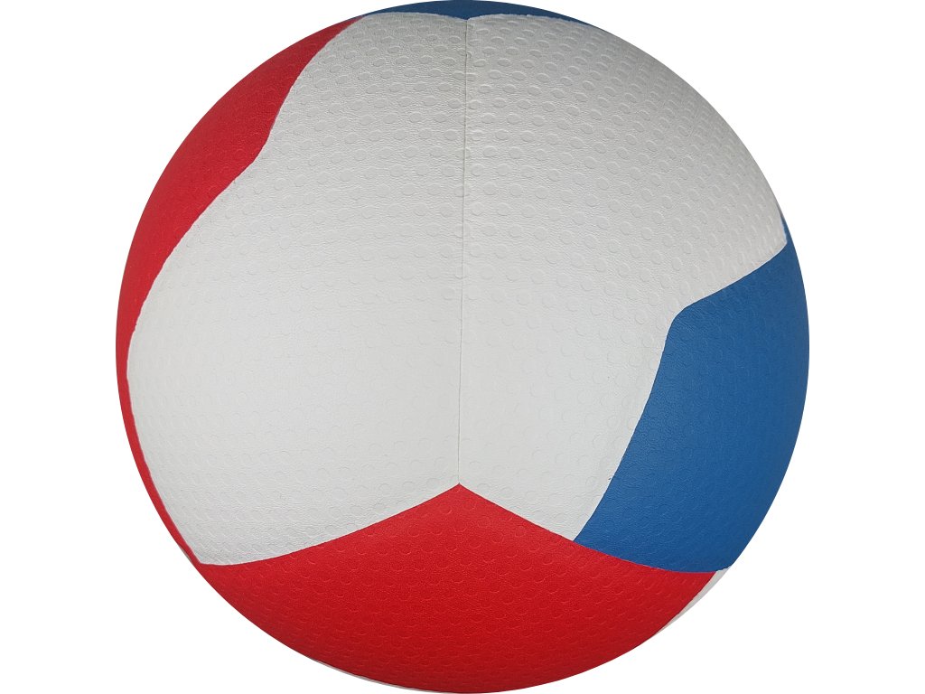 Volejbalový míč GALA Pro line BV 5591 S 