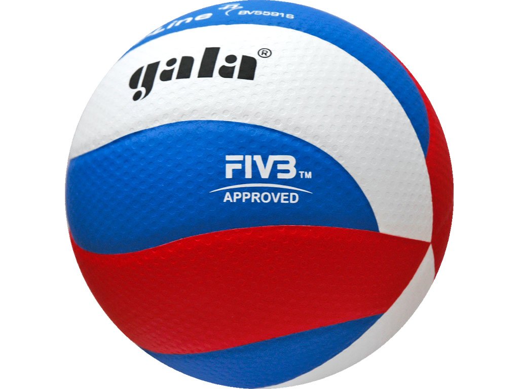 Volejbalový míč GALA Pro line BV 5591 S 