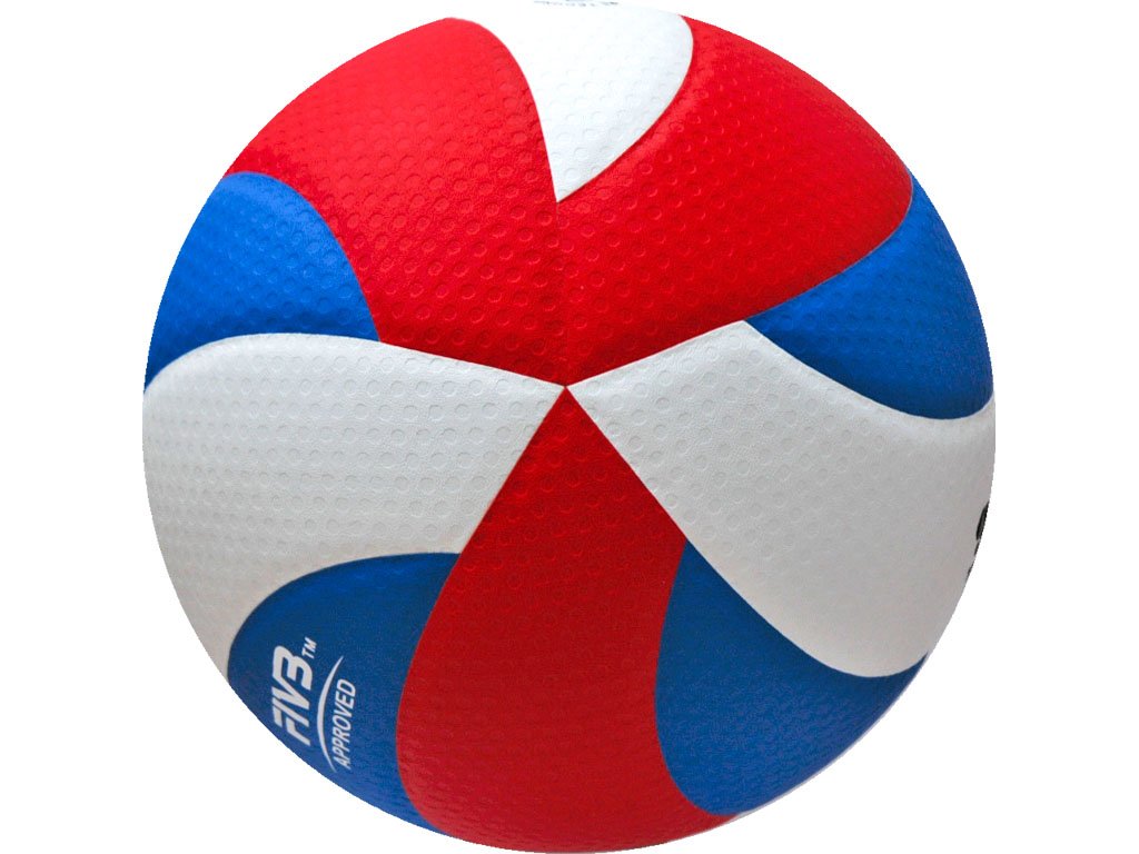 Volejbalový míč GALA Pro line BV 5591 S 