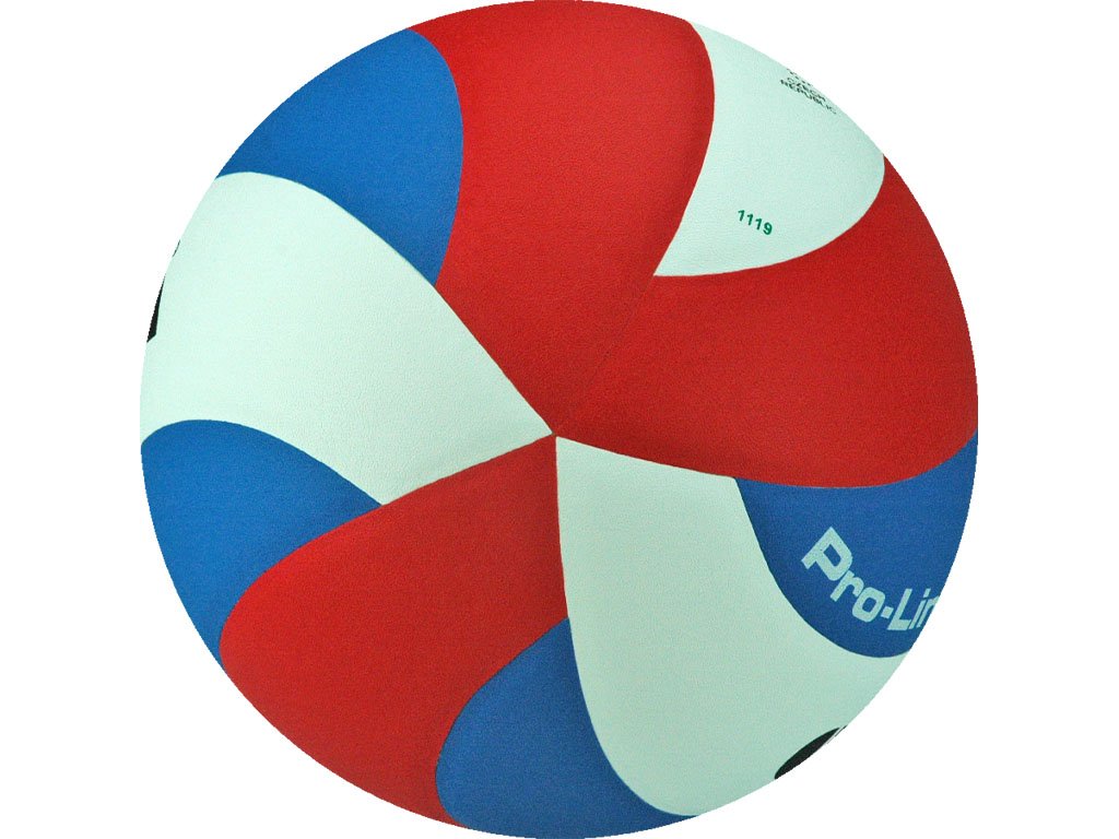 Volejbalový míč BV 5121 S