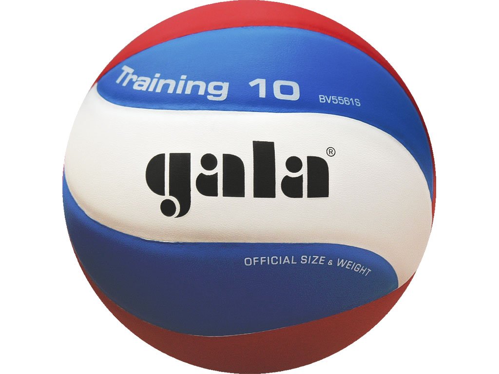 Volejbalový míč GALA School 10 BV 5711 S