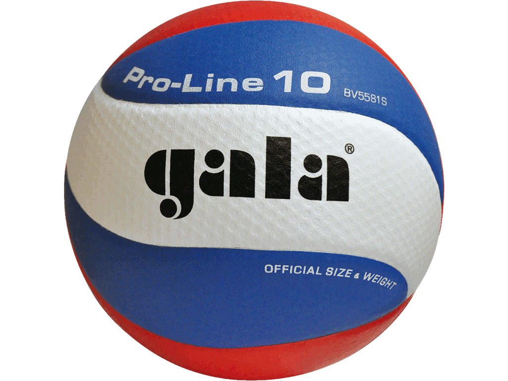 Volejbalový míč GALA Pro line BV 5591 S 